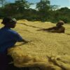 112011_sub06_LL SAZA Ethiopia Mocha|掛耳咖啡 5包裝