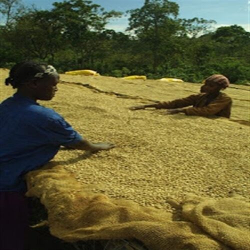 112011_sub06_LL SAZA Ethiopia Mocha|掛耳咖啡 5包裝