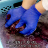 6_000000000094 亀じるし|水戸の梅 8個入