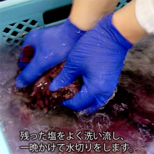 6_000000000094 亀じるし|水戸の梅 8個入